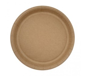 PLATO DE CARTÓN KRAFT EUROPA 22cm. 