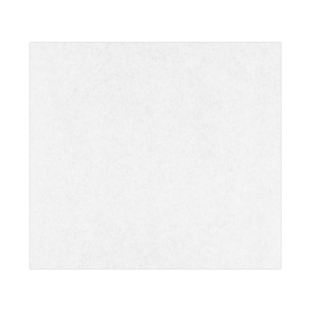 PAPEL ANTIGRASA BLANCO 31x42CM. 