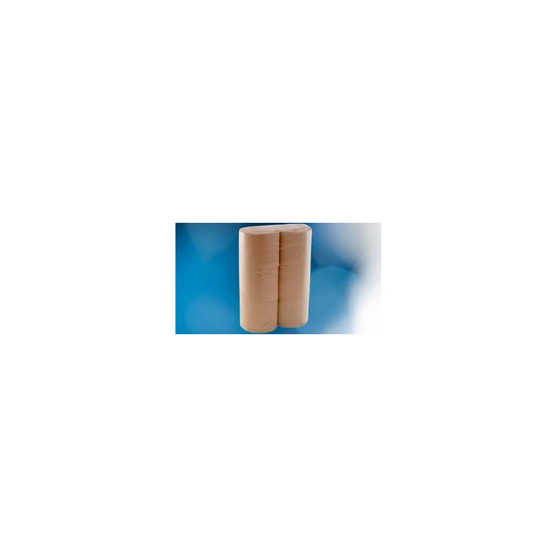 HIGIENICO DOMESTICO 36m.LAMINADO ECO NATURE 6u.