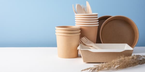 Tendencias en productos desechables sostenibles para 2026